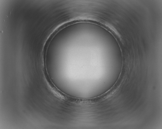 X0000074310934200608251001