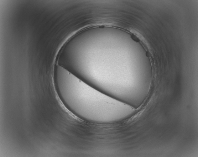 X0000074310941200608251001