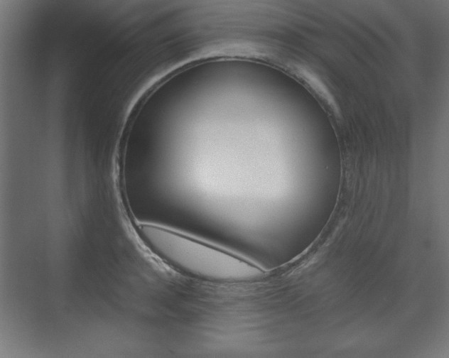 X0000074310944200608251001