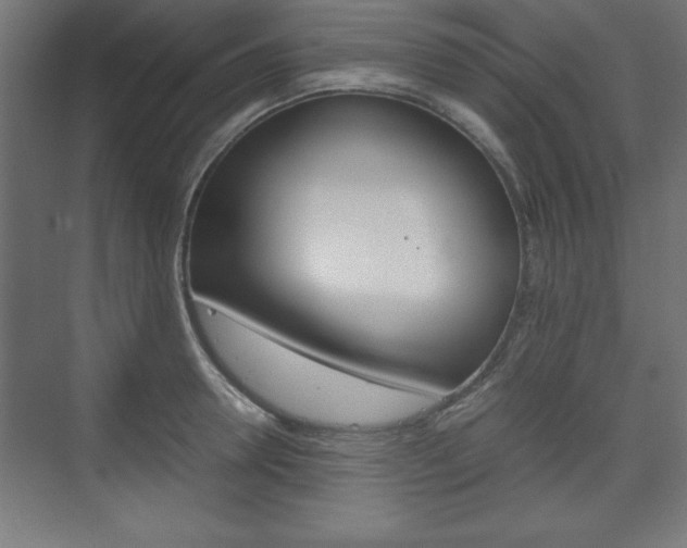 X0000074310946200608251001