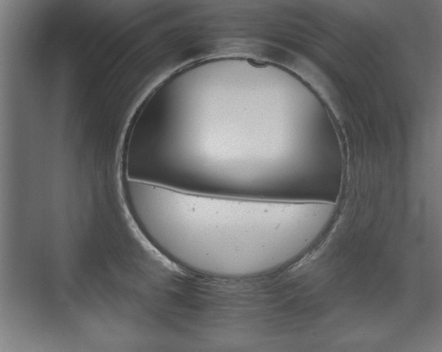 X0000074310949200608251001