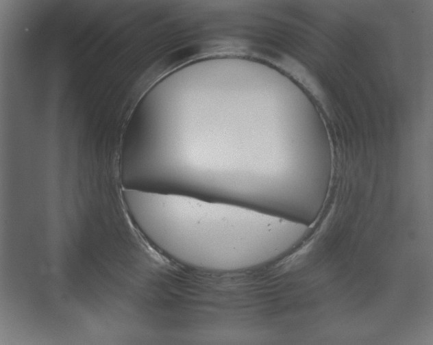 X0000074310953200608251001