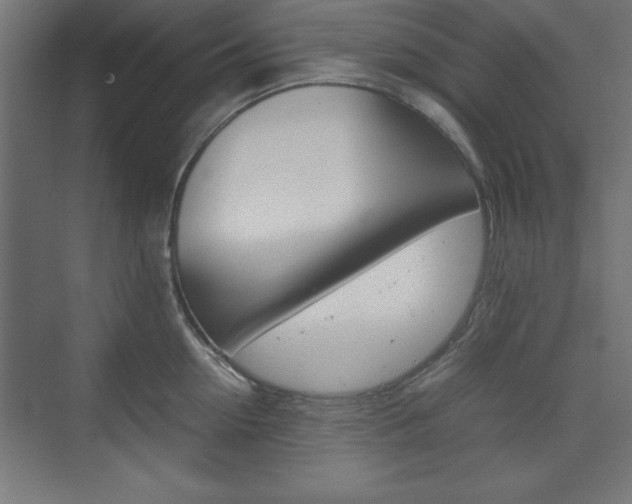 X0000074310954200608251001
