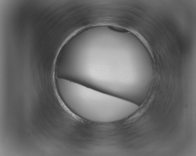 X0000074310957200608251001