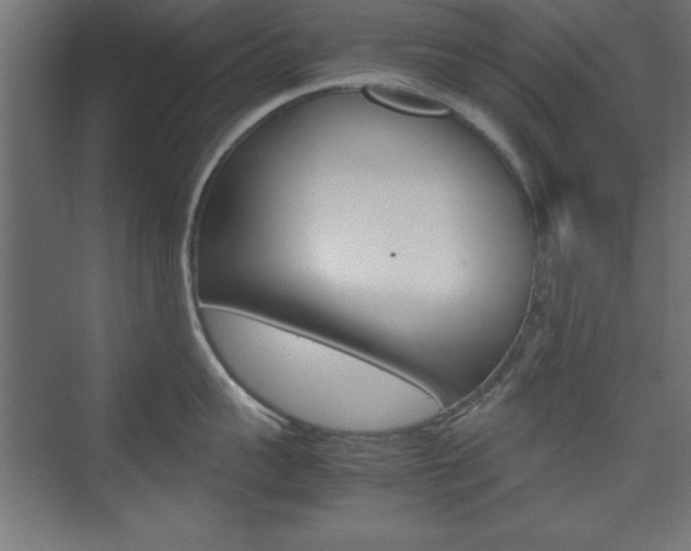 X0000074310959200608251001