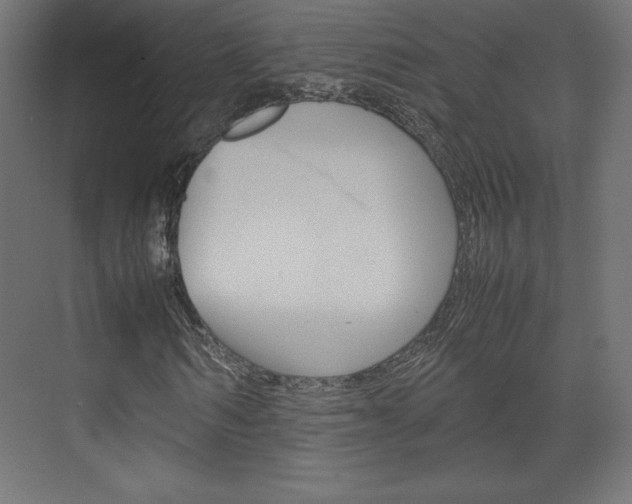 X0000074310962200608251000
