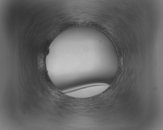 X0000074310963200608251000
