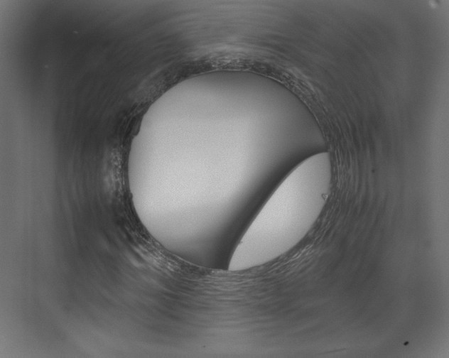 X0000074310964200608251000
