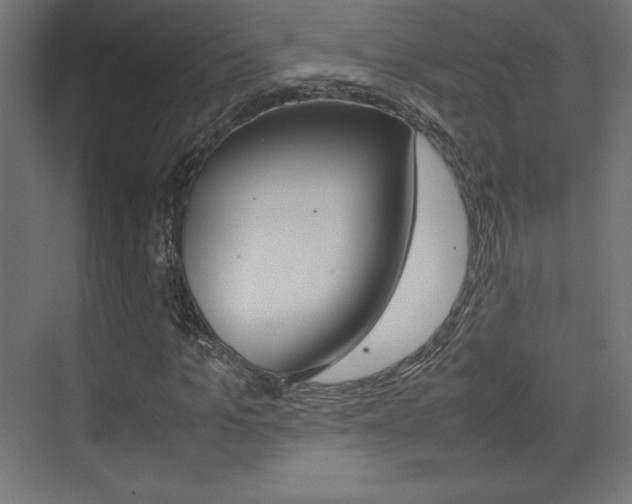 X0000074310965200608251000
