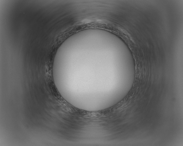 X0000074310966200608251000