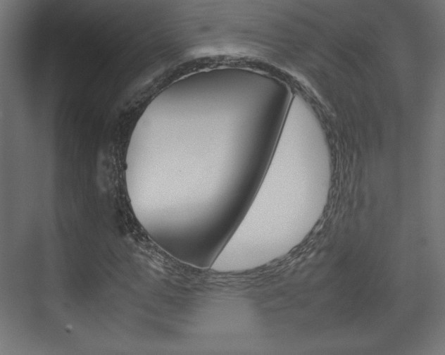 X0000074310967200608251000