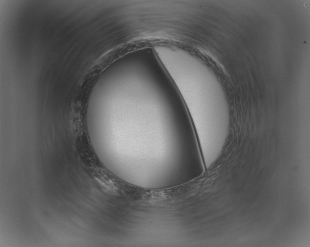 X0000074310968200608251000