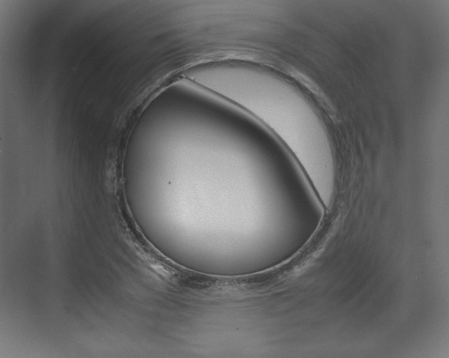 X0000074310977200608251000