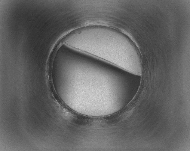 X0000074310979200608251000