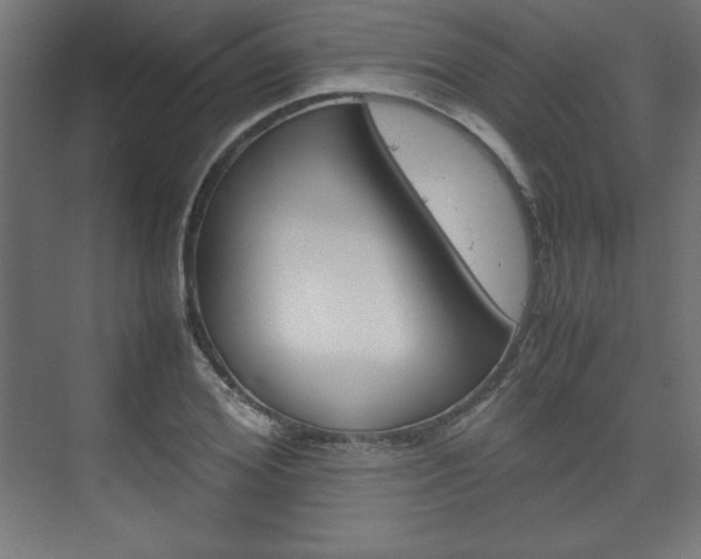 X0000074310980200608251000