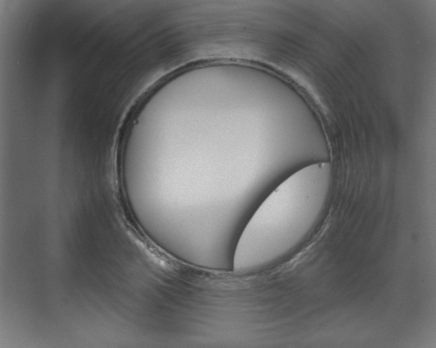 X0000074310982200608251000