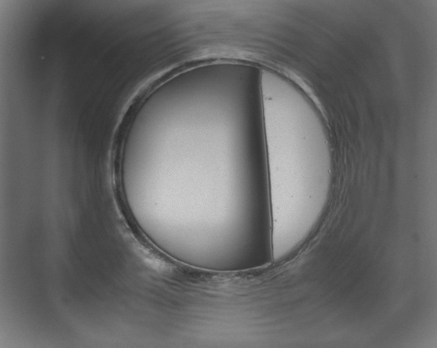 X0000074310987200608251000