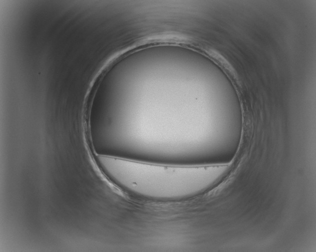 X0000074310989200608251000