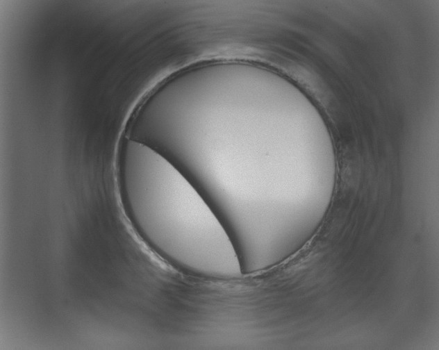 X0000074310990200608251000