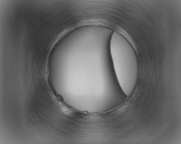 X0000074310994200608251000