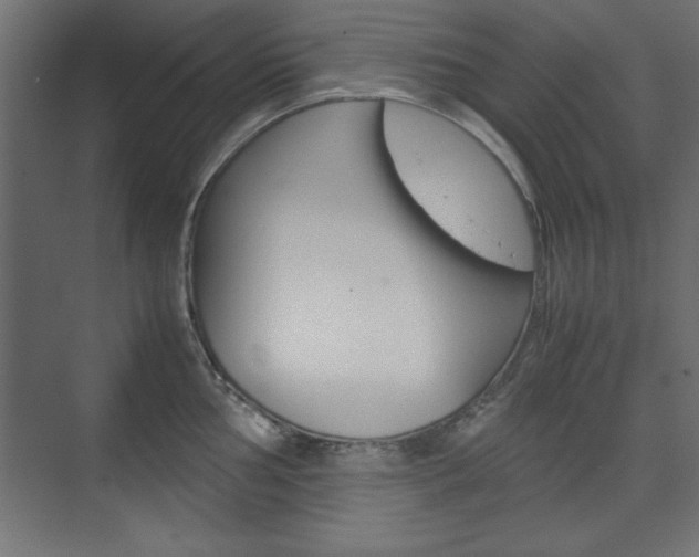 X0000074311002200608251000