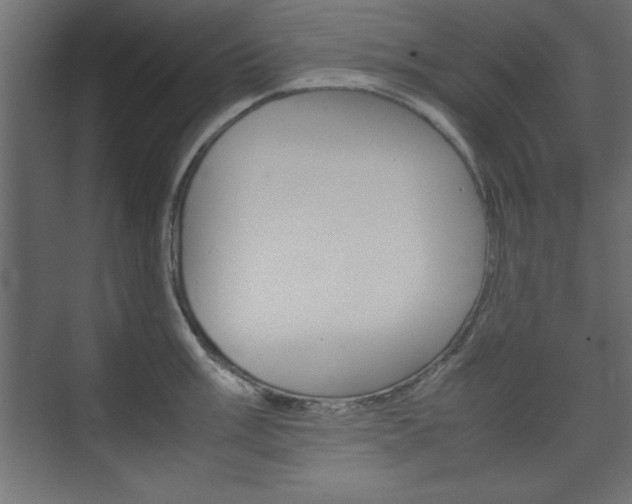 X0000074311003200608251000