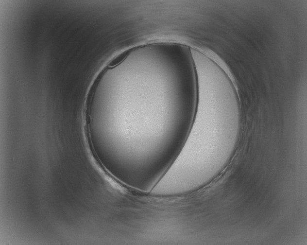 X0000074311005200608251000