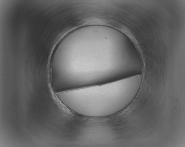X0000074311008200608251000