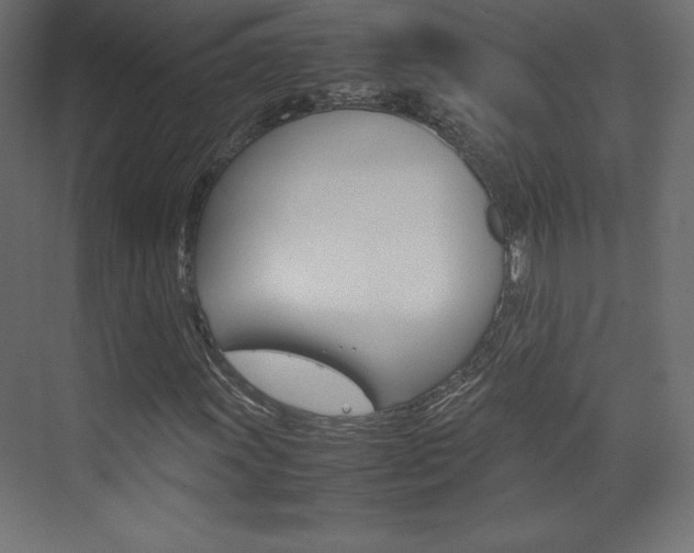 X0000074311011200608250959