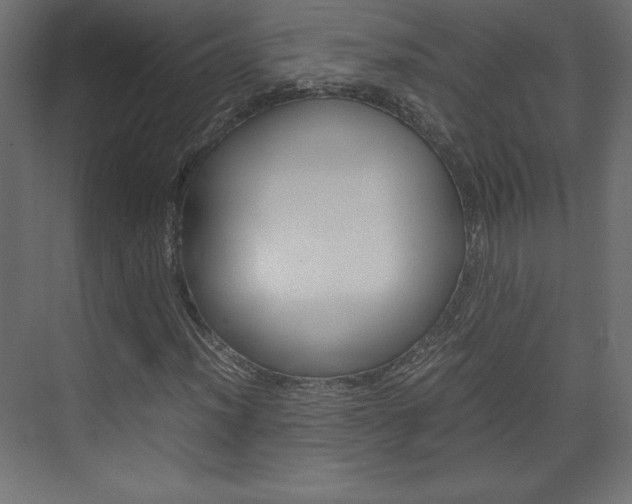 X0000074311012200608250959