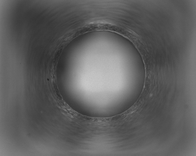 X0000074311014200608250959