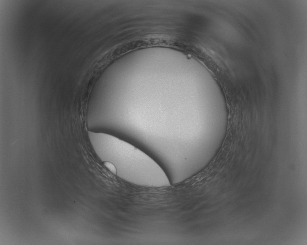 X0000074311015200608250959