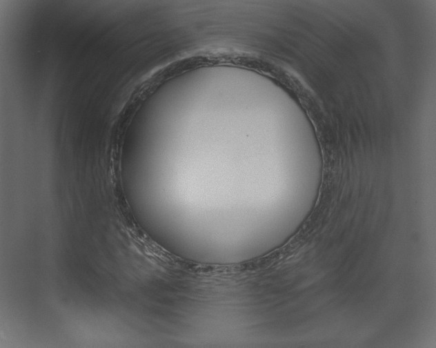 X0000074311016200608250959
