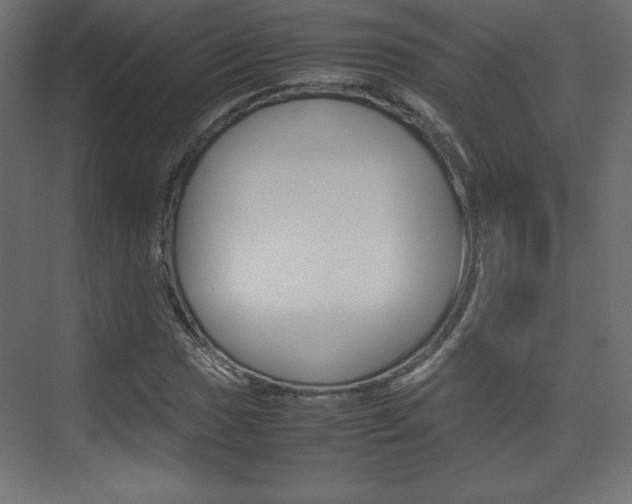 X0000074311017200608250959