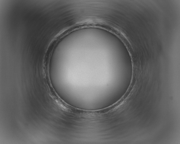 X0000074311018200608250959