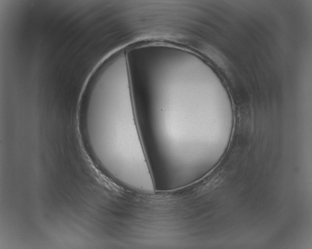 X0000074311020200608250959