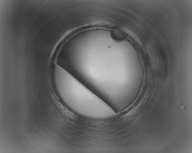 X0000074311021200608250959