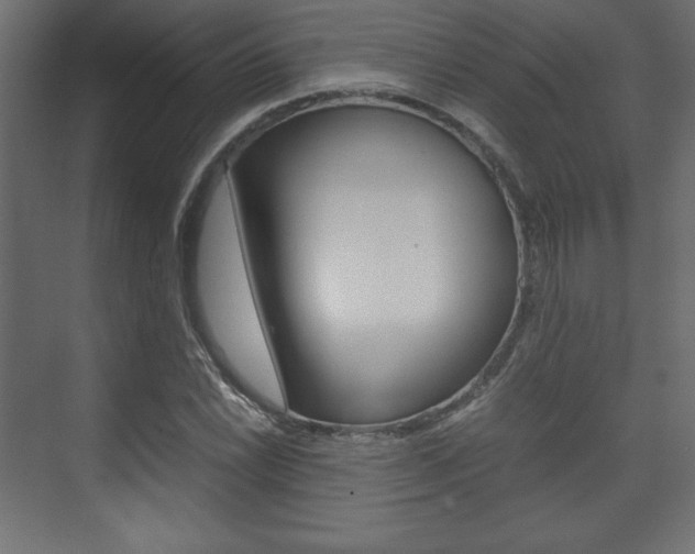 X0000074311022200608250959