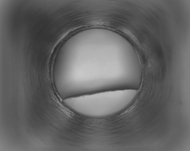 X0000074311023200608250959