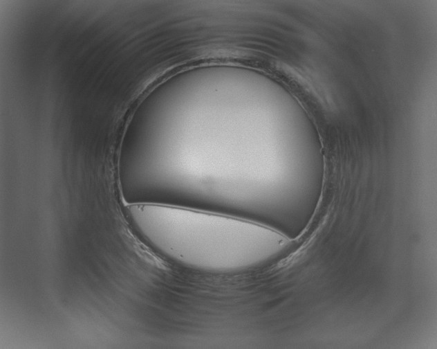 X0000074311025200608250959