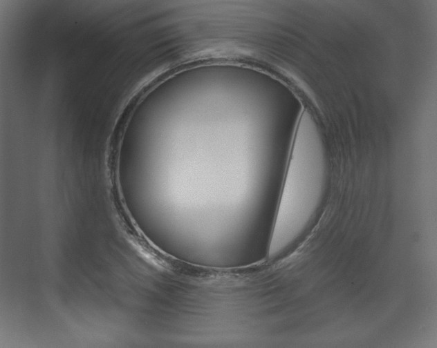X0000074311026200608250959