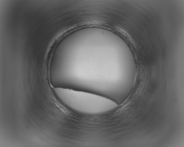 X0000074311027200608250959