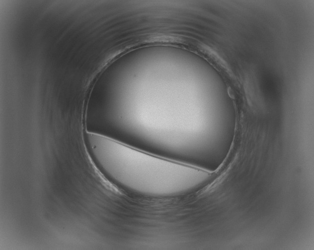 X0000074311033200608250959