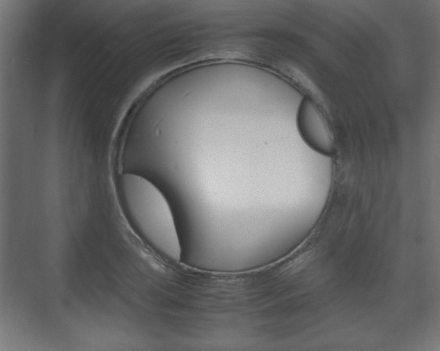 X0000074311035200608250959