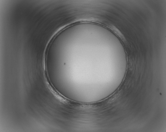 X0000074311036200608250959
