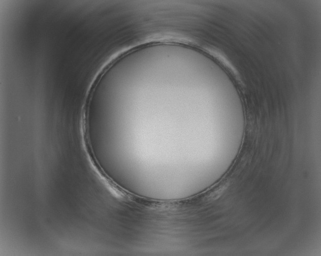 X0000074311040200608250959