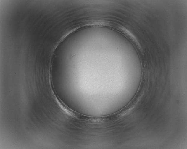 X0000074311041200608250959