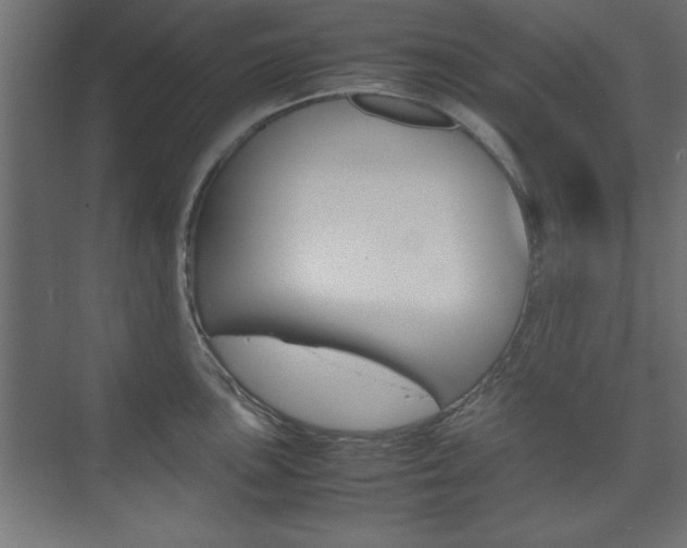 X0000074311051200608251000