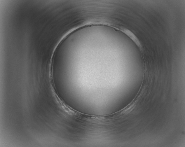 X0000074311052200608251000