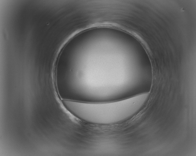 X0000074311054200608251000